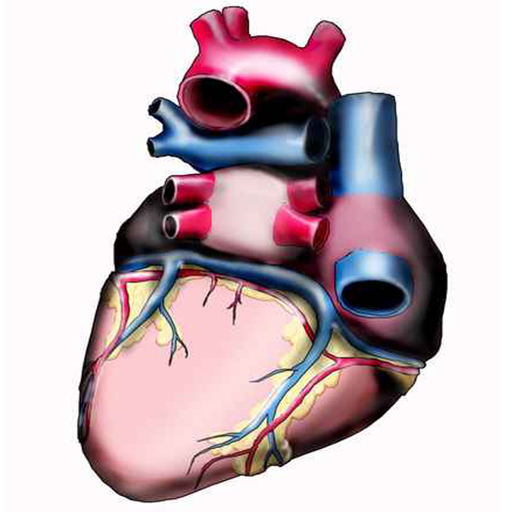 Grafik Herz